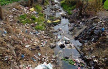 好色先生下载安装渗滤液的危害，你知道几种？