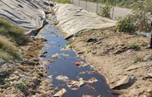 你对好色先生下载安装渗滤液还存在怎样的误区？